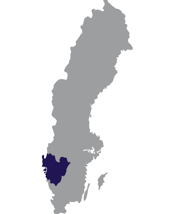 Landkaart Zweden grijs met provincie Västra Götaland donkerblauw op transparante achtergrond - 600 * 733 pixels